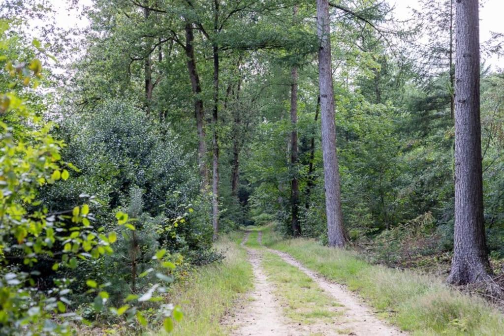 Villa Leva - Logeren In Drenthe Doldersum Esterno foto