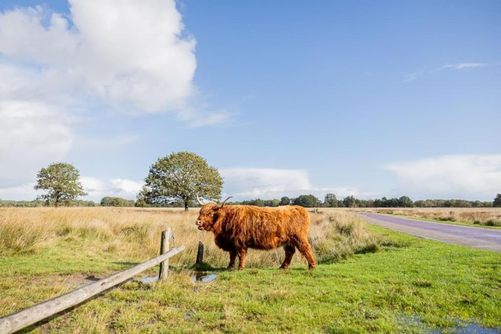 Villa Leva - Logeren In Drenthe Doldersum Esterno foto